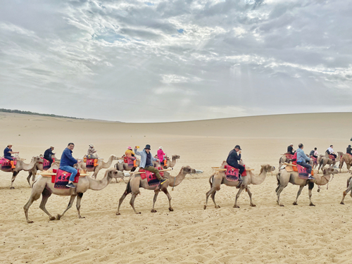 1631084315931730.jpg 1631084315931730.jpg